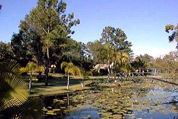 Twin Lakes Hotel - Redcliffe Tourism 0