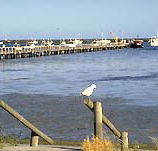 Seaview Motel and Holiday Units - Redcliffe Tourism