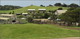 Cape Schanck VIC Redcliffe Tourism