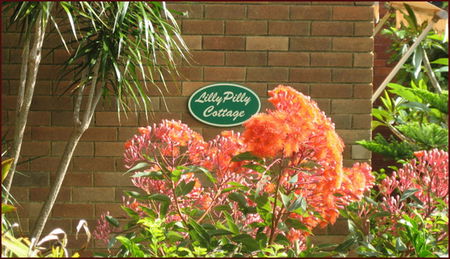 Balgowlah NSW Redcliffe Tourism