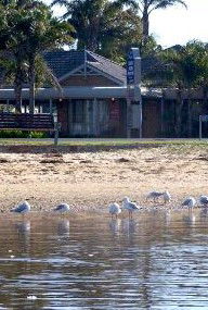 Best Western Coastal Waters Motor Inn - Redcliffe Tourism 2