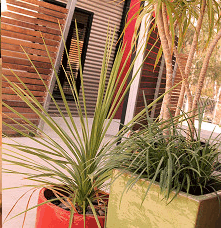 Adelphi Apartments - Redcliffe Tourism 1