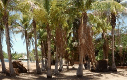 King Sound Resort Hotel - Redcliffe Tourism