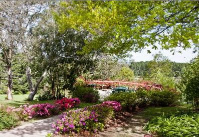 Bilpin Resort - Redcliffe Tourism 2