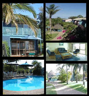 Pandanus Palms Resort - Redcliffe Tourism 1