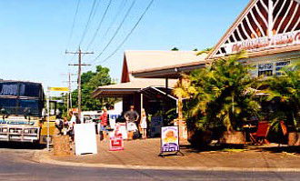 Mission Beach Rainforest Motel - Redcliffe Tourism 0