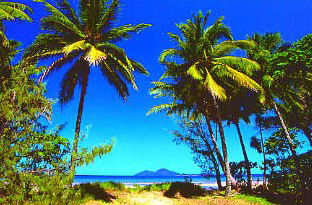Mission Beach Rainforest Motel - Redcliffe Tourism 1