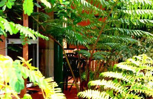 Mission Beach Rainforest Motel - Redcliffe Tourism 3