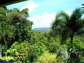 Daintree Manor - Redcliffe Tourism 3