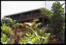 Daintree Manor - Redcliffe Tourism 5