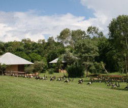 Feathers Sanctuary - Redcliffe Tourism 3