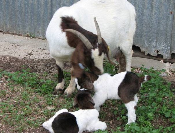 Weetulta SA Redcliffe Tourism
