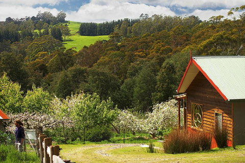Elvenhome Farm Cottage - Redcliffe Tourism 5