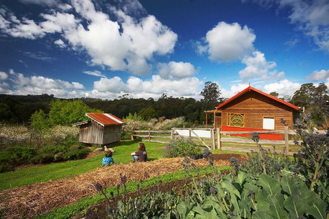 Elvenhome Farm Cottage - Redcliffe Tourism 6