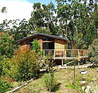 Southern Forest Accommodation - Redcliffe Tourism