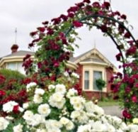 Golden Embers Apartments and B and B - Redcliffe Tourism