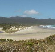 Cloudy Bay Cabin - Redcliffe Tourism