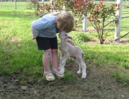 Taras Richmond Farmstay - Redcliffe Tourism 3