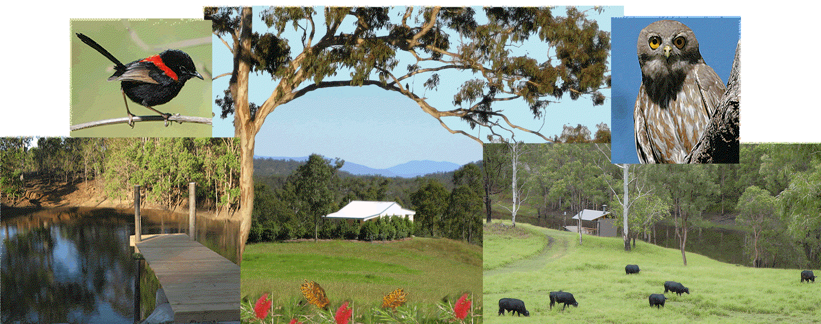 Kairi QLD Redcliffe Tourism
