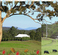 Barking Owl Retreat - Redcliffe Tourism