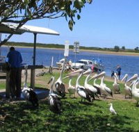 Mountain View Caravan and Mobile Home Village - Redcliffe Tourism