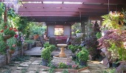 Blossoms Bed And Breakfast - Redcliffe Tourism 0