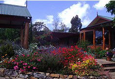 Blossoms Bed And Breakfast - Redcliffe Tourism 2