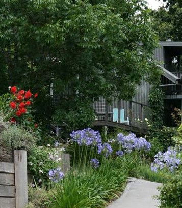 Cloudsong In Kangaroo Valley - Redcliffe Tourism 0