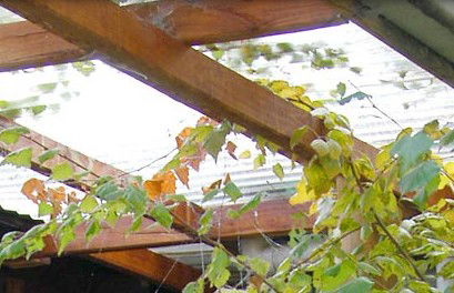 Cooma Bunkhouse Motel - Redcliffe Tourism 2