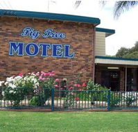 Fig Tree Motel - Redcliffe Tourism
