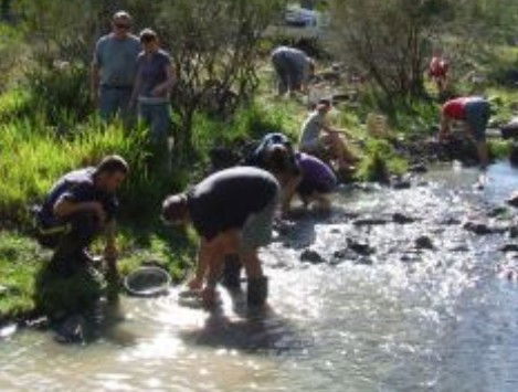 Bullock Mountain Homestead - Redcliffe Tourism 1