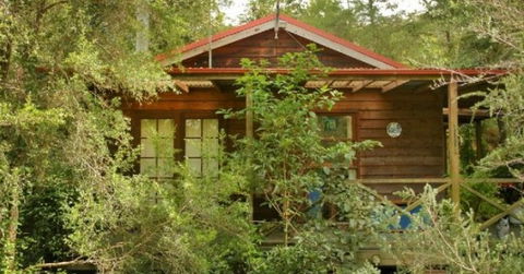 Bluegums Cabins - Redcliffe Tourism 2