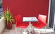 Chaucer Palms Boutique Bed And Breakfast - thumb 0