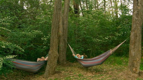 Bingle Tree Retreat - Redcliffe Tourism 1