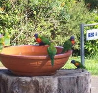 Lamb Island Bed and Breakfast - Redcliffe Tourism