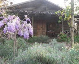 Barney Creek Vineyard Cottages - Redcliffe Tourism 3