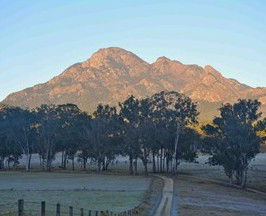 Barney Creek Vineyard Cottages - Redcliffe Tourism 5