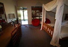 The Bearded Dragon Boutique Hotel - Redcliffe Tourism 3