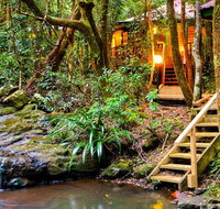 The Mouses House - Rainforest Retreat - Redcliffe Tourism