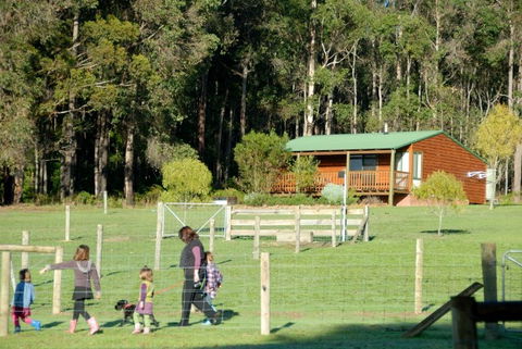 Diamond Forest Farm Stay - Redcliffe Tourism 0