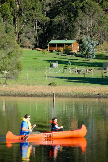 Diamond Forest Farm Stay - Redcliffe Tourism 2