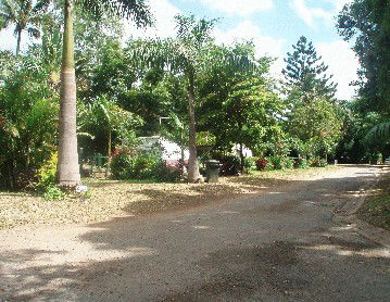 Cape Hillsborough Nature Resort - Redcliffe Tourism 4