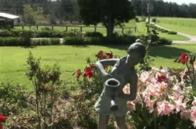 Jacaranda Country Lodge - Redcliffe Tourism 2