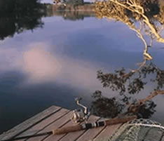 Jacaranda Country Lodge - Redcliffe Tourism 4