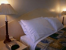 The Ambassador Motor Inn - thumb 2