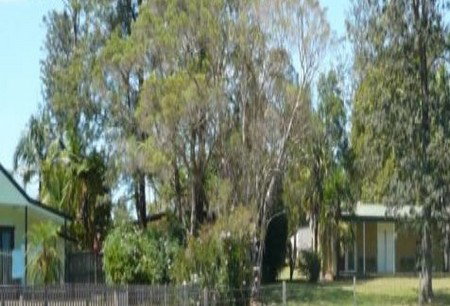 Nimbin NSW Redcliffe Tourism