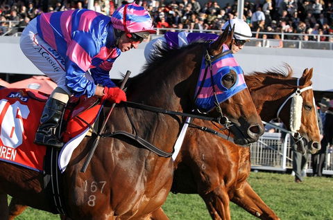 Quest Ascot - Redcliffe Tourism 4