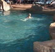 Undara Experience Lava Lodge - Redcliffe Tourism