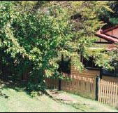 Apple Tree Cottage - Redcliffe Tourism