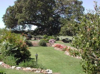 Maddies Of Bolwarra - Redcliffe Tourism 1